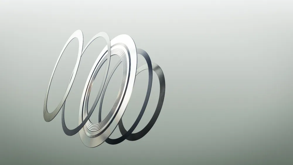 CorrLock Gasket being shown rendered split open