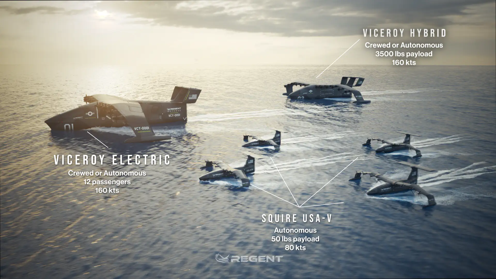 Regent aircraft 3d models made by Motion Giraffx