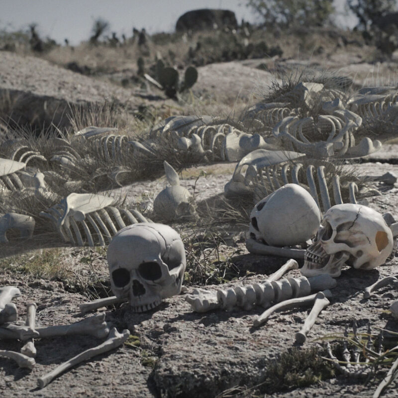 Skeletons and bones on the ground.